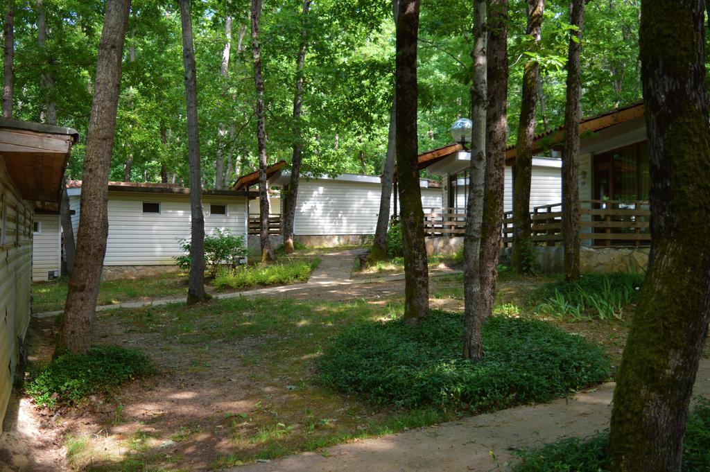 Villas Holidays Primorsko Dış mekan fotoğraf